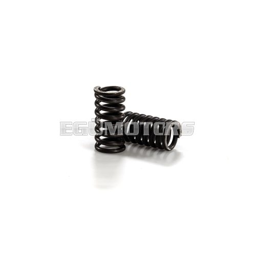 Malossi 2 CLUTCH SPRINGS GILERA 125