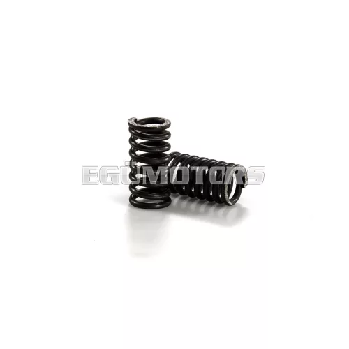 Malossi 2 CLUTCH SPRINGS GILERA 125