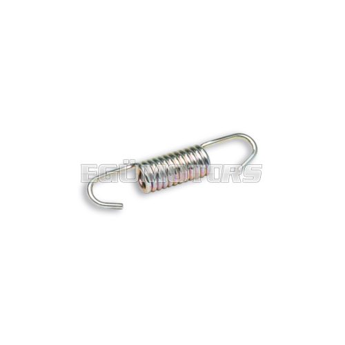 Malossi SPRING for EXHAUST SYSTEM