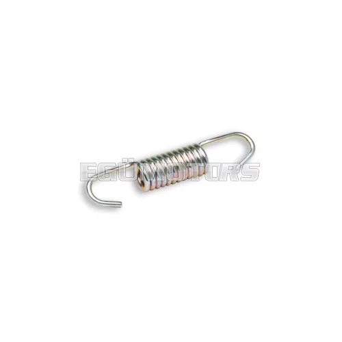 Malossi SPRING for EXHAUST SYSTEM