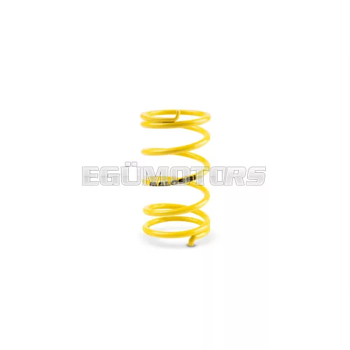 Malossi YELLOW VARIATOR ADJUSTER SPRING ext.45x77mm thread 3,9mm 8,4k