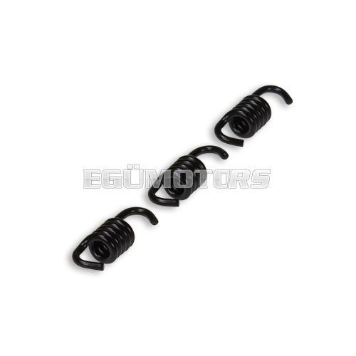 Malossi 3 BLACK REINFOR. SPRINGS 1,6 for CLUTCH