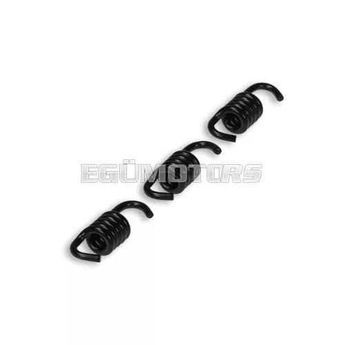 Malossi 3 BLACK REINFOR. SPRINGS 1,6 for CLUTCH