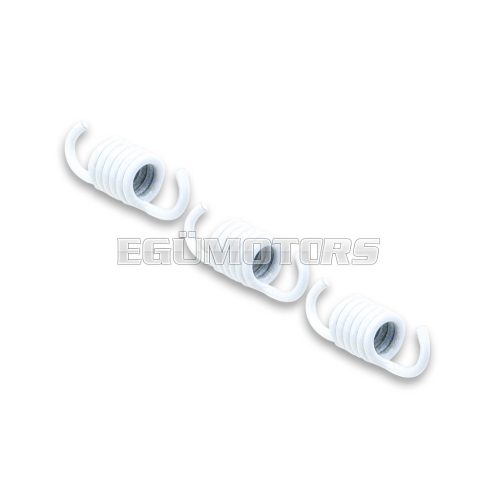 Malossi 3 WHITE SUP.REIN.SPRINGS 1,8 for CLUTCH