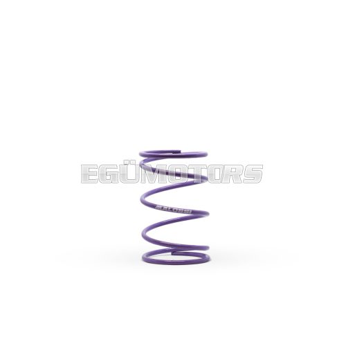 Malossi VIOLET VARIATOR ADJUSTER SPRING ext.57,8x91mm thread 4,0mm 5,5k