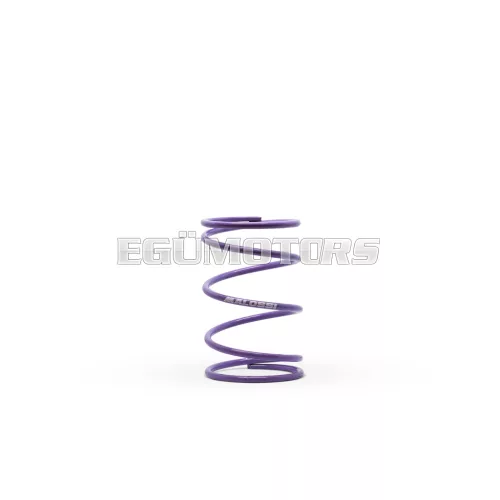 Malossi VIOLET VARIATOR ADJUSTER SPRING ext.57,8x91mm thread 4,0mm 5,5k