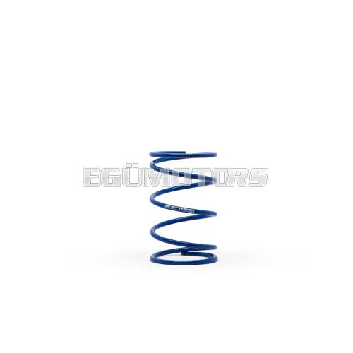 Malossi BLUE VARIATOR ADJUSTER SPRING ext.57,8x91mm thread 4,1mm 5,51k