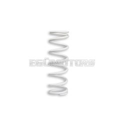 Malossi REAR SHOCK ABSORBER SPRING