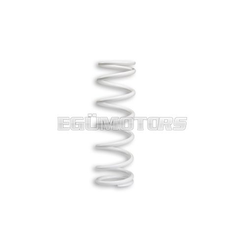 Malossi REAR SHOCK ABSORBER SPRING