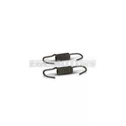 Malossi SPRING SET for BRAKE SHOES