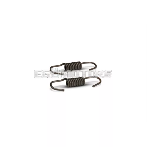 Malossi SPRING SET for BRAKE SHOES