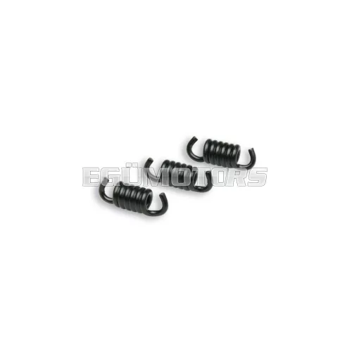 Malossi 3 BLACK RACING CLUTCH SPRINGS 2,2 for DELTA/FLY CLUTCH