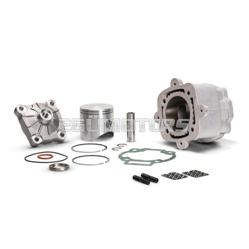 Malossi ALUMIN-CYL. KIT 65 H2O