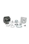 Malossi CAST-I-CYLINDER KIT 47 pin 10
