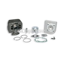 Malossi CAST-I-CYLINDER KIT 47 pin 10
