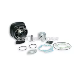 Malossi CAST-I-CYLINDER 47 H2O