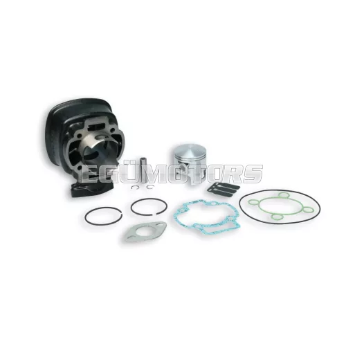 Malossi CAST-I-CYLINDER 47 H2O