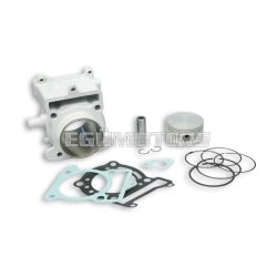 Malossi ALUMIN-CYLINDER 63 H2O 4-stroke