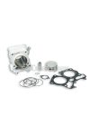 Malossi ALUMIN-CYLINDER 61 pin 14 H2O 4-stroke