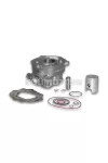 Malossi ALUM-CYLINDER 39,88 pin 12 H2O MHR TEAM mod-head