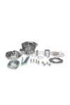 Malossi ALUMIN-CYL. KIT 39,88 pin 12 H2O MHR TEAM mod-head