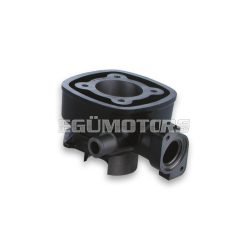 Malossi CAST-I-CYLINDER 47 pin 12 H2O