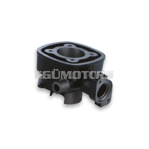 Malossi CAST-I-CYLINDER 47 pin 12 H2O