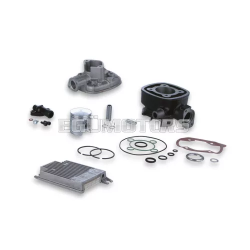 Malossi CAST-I-CYL. KIT 47 pin 12 H2O I-TECH