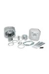 Malossi ALUMIN-CYL. KIT 47 pin 12 MHR REP.