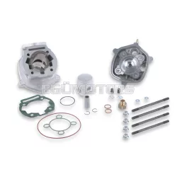 Malossi ALUMIN-CYL. KIT 39,88 pin 12 H2O MHR REP.