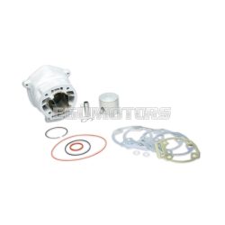 Malossi ALUM-CYLINDER 50 H2O MHR TEAM for mod-head