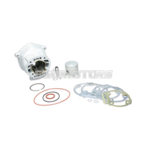Malossi ALUM-CYLINDER 50 H2O MHR TEAM for mod-head