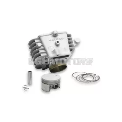 Malossi ALUMIN-CYLINDER 53 pin 13 PIT BIKE 110-125 4t