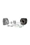 Malossi CAST-I-CYLINDER KIT 47 pin 12