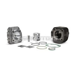 Malossi CAST-I-CYLINDER KIT 47 pin 12