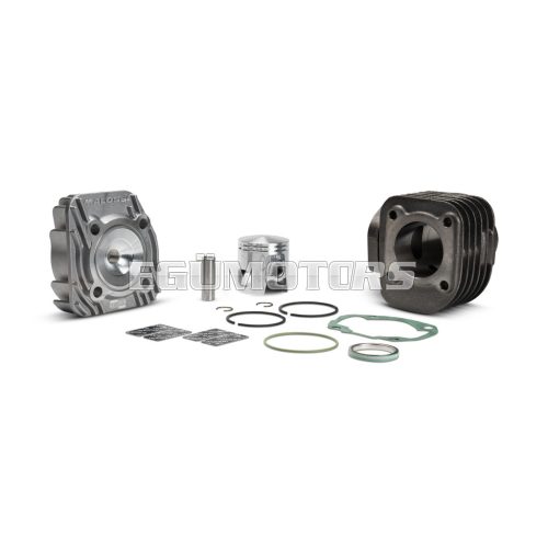 Malossi CAST-I-CYLINDER KIT 47 pin 12