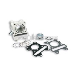 Malossi ALUM-CYL. 44 pin 10 H2O 4-stroke