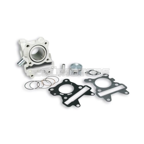 Malossi ALUM-CYL. 44 pin 10 H2O 4-stroke