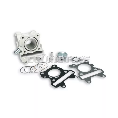 Malossi ALUM-CYL. 44 pin 10 H2O 4-stroke