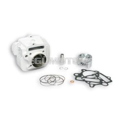 Malossi ALUMIN-CYLINDER 56 pin 13  PIT BIKE 125 4t