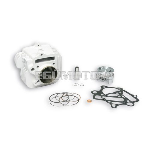 Malossi ALUMIN-CYLINDER 56 pin 13  PIT BIKE 125 4t