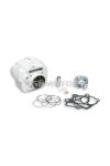 Malossi ALUMIN-CYLINDER 56 pin 15  PIT BIKE 150 4t