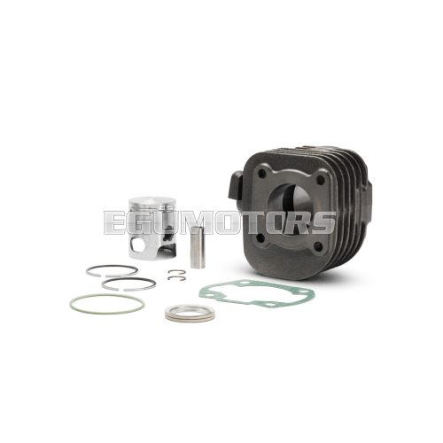 Malossi CAST-I-CYLINDER 40 pin 12