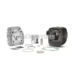 Malossi CAST-I-CYLINDER KIT 40 pin 12