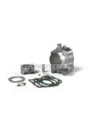 Malossi ALUM-COMPL.CYL. 75,5 pin 15 H2O 4-stroke