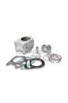 Malossi ALUMIN-CYLINDER 75,5 pin 16 H2O SCOOTER 300 4-stroke