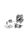 Malossi ALUM-CYL. 61 pin 13 H2O 4-stroke
