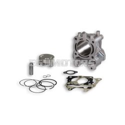 Malossi ALUM-CYL. 61 pin 13 H2O 4-stroke