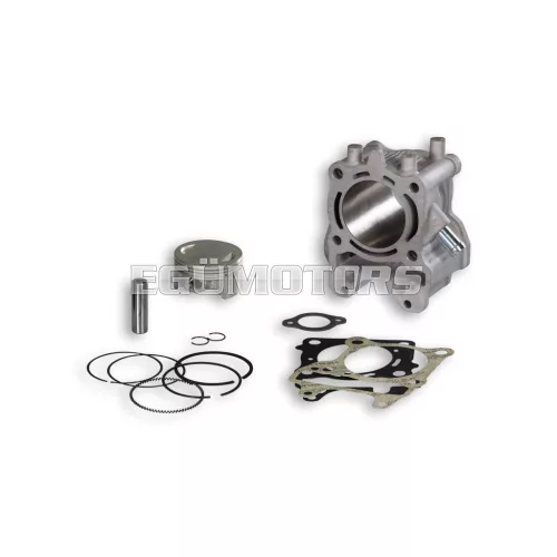 Malossi ALUM-CYL. 61 pin 13 H2O 4-stroke