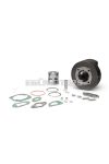 Malossi CAST-I-CYLINDER 57,5 pin 15